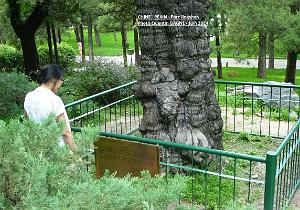 Pekin Jingshan 59